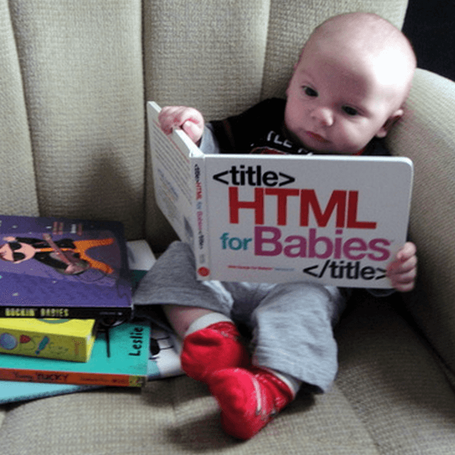 HTML For Babies Book