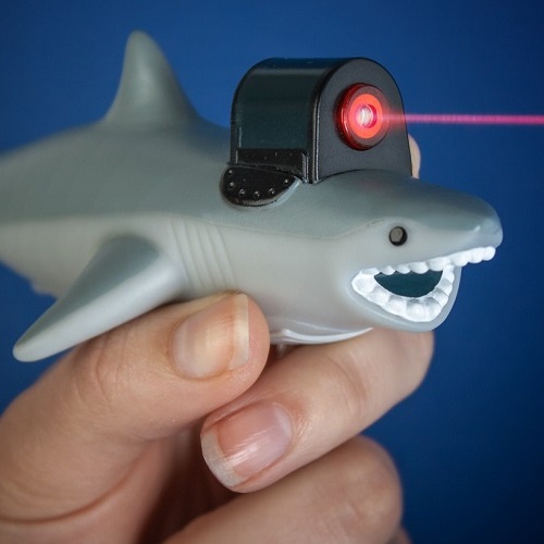 Shark With Frickin Laser Beam